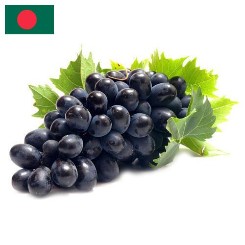 Виноград из Бангладеша