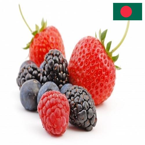 Ягоды из Бангладеша
