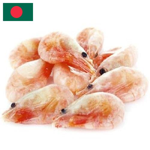 замороженные креветки из Бангладеша