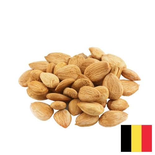 Абрикосовые косточки из Бельгии