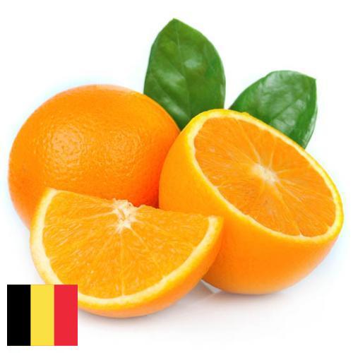 апельсины свежие из Бельгии