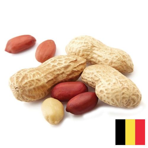 арахис очищенный из Бельгии