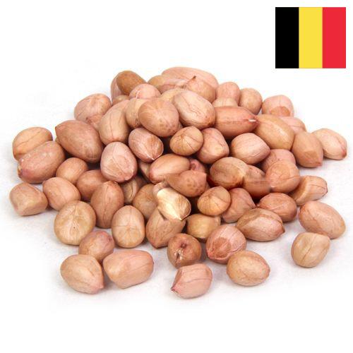 арахис сырой из Бельгии