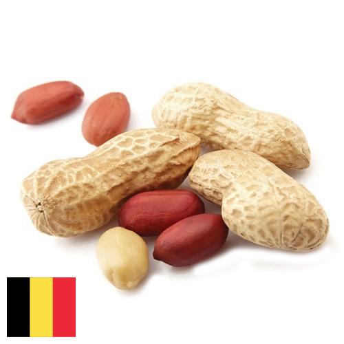 Арахис из Бельгии