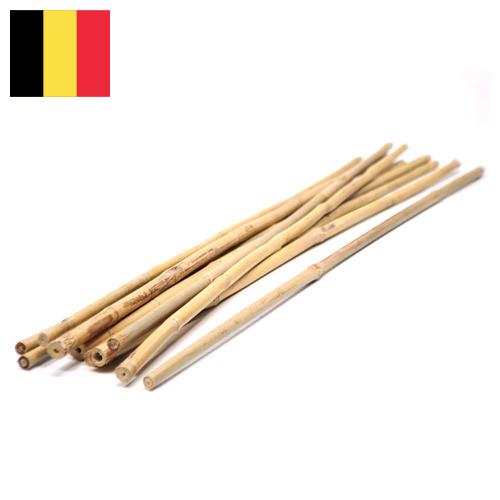 бамбуковые палочки из Бельгии