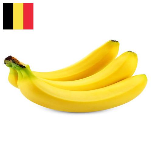 Бананы из Бельгии
