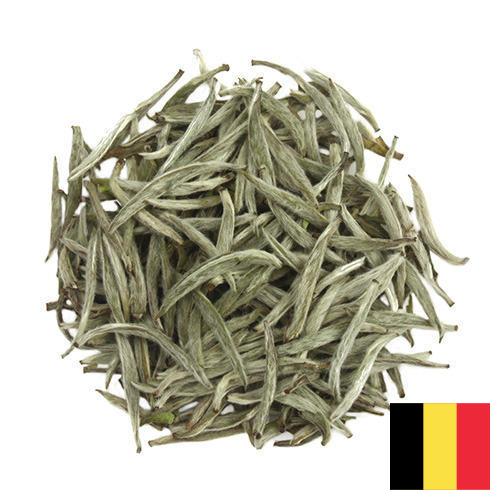 Белый чай из Бельгии
