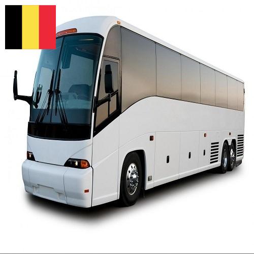 Брус из Бельгии