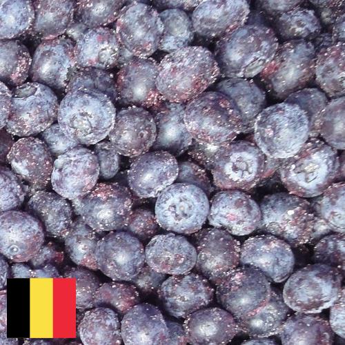 черника замороженная из Бельгии