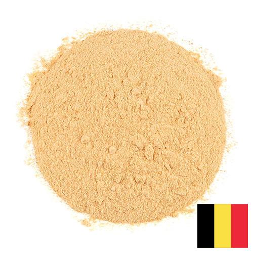 чеснок порошок из Бельгии