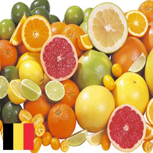 Цитрусовые фрукты из Бельгии