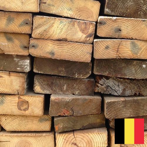 Дрова из Бельгии