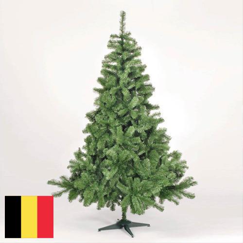 Елки искусственные из Бельгии