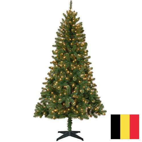 елки из Бельгии
