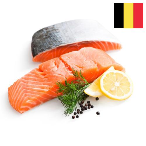 Филе рыбы из Бельгии