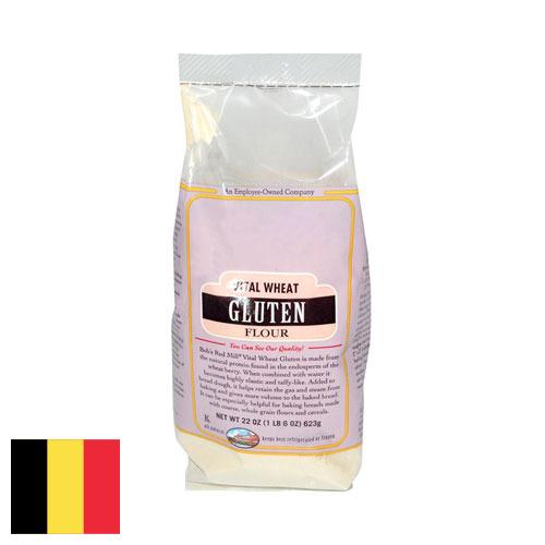 глютен пшеничный из Бельгии