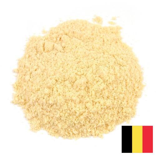 Горчичный порошок из Бельгии
