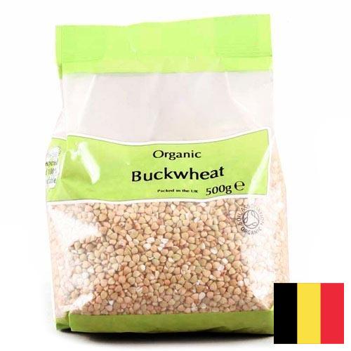 Гречневая крупа из Бельгии