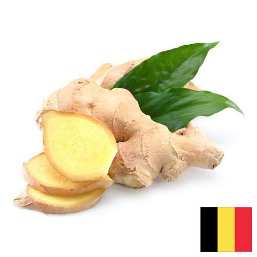 Имбирь из Бельгии