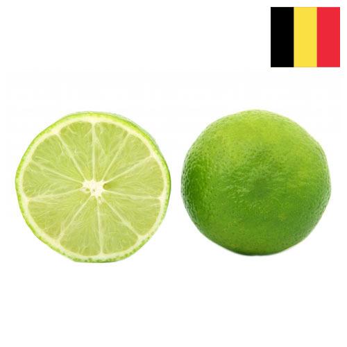 Известь из Бельгии