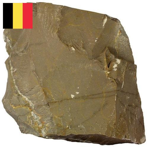 Известняк из Бельгии