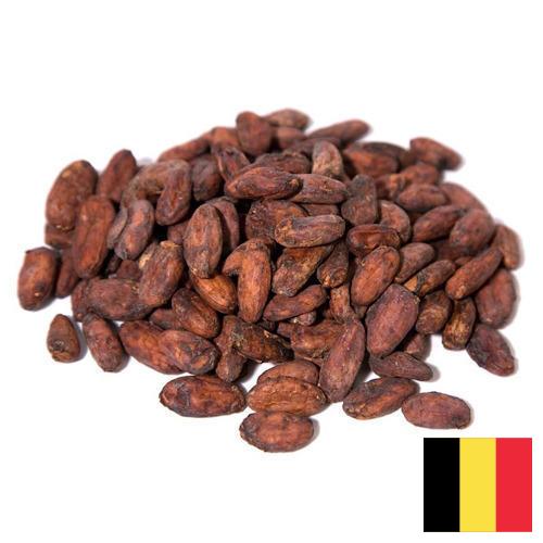 какао бобы из Бельгии