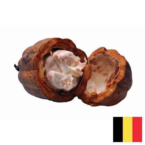 Какао масло из Бельгии