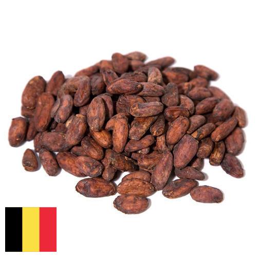 какао-бобы из Бельгии