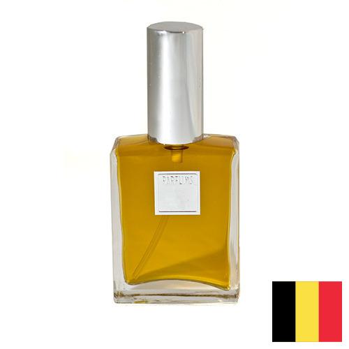 Кедровое масло из Бельгии