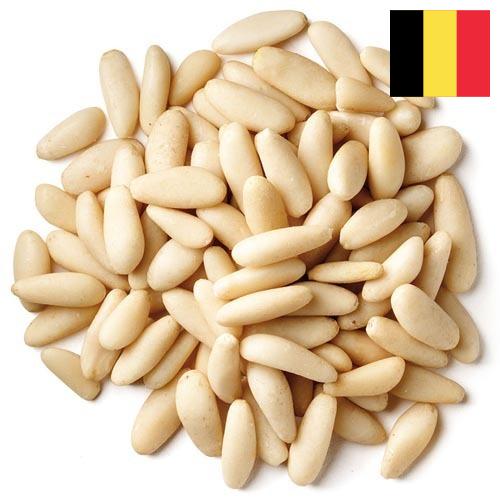 Кедровые орехи из Бельгии