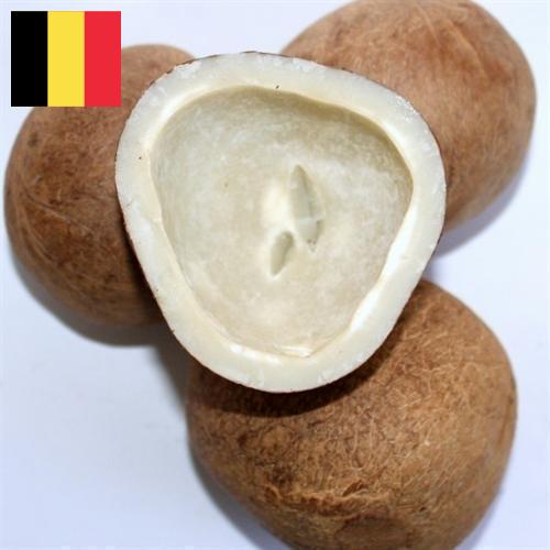 Кокос сушеный из Бельгии