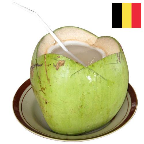 кокосовая вода из Бельгии