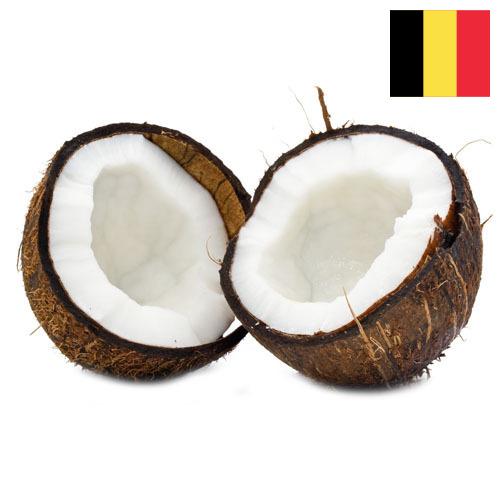 Кокосы из Бельгии