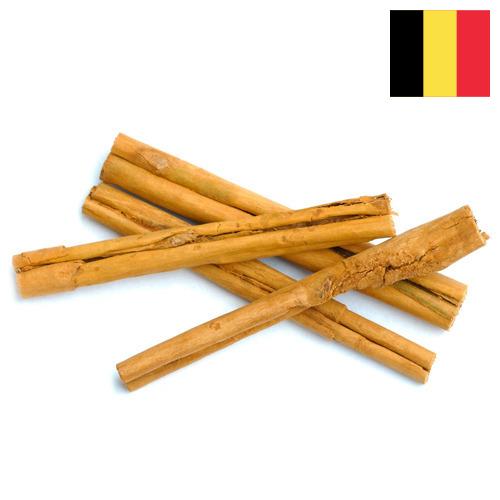 Корица из Бельгии
