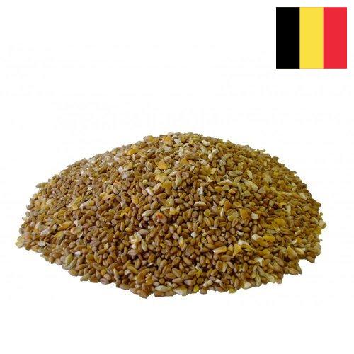 Корма для птицеводства из Бельгии