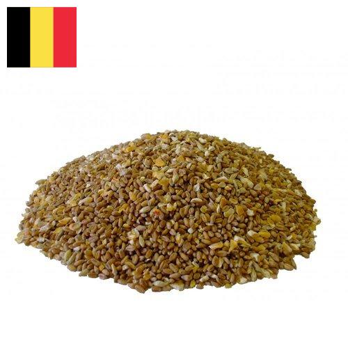 Корма для птицы из Бельгии