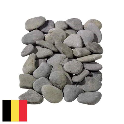 косточки из Бельгии