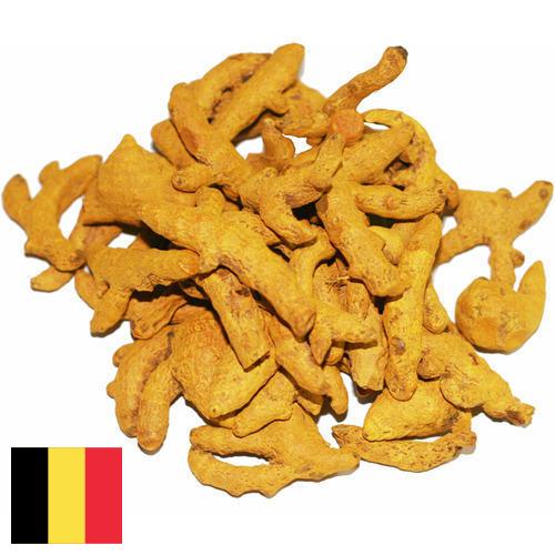 Куркума из Бельгии