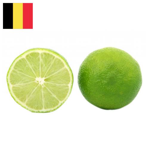 лайм из Бельгии