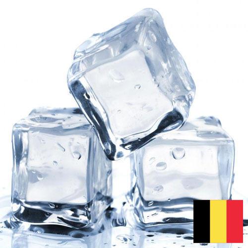 Ледянки из Бельгии