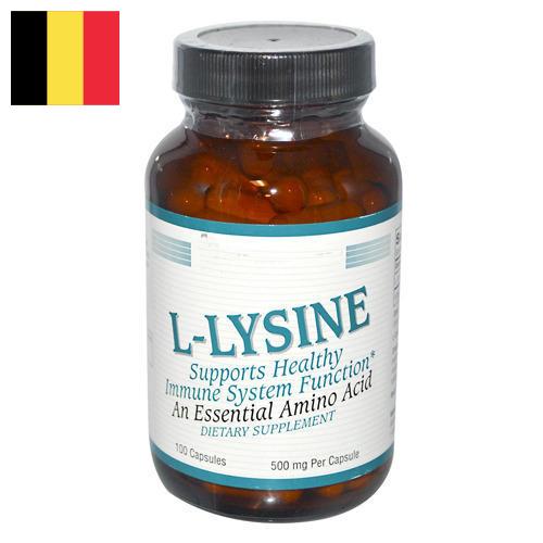 Лизин из Бельгии