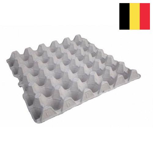 Лотки для яиц из Бельгии