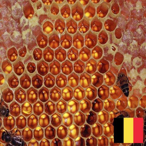 мед оборудование из Бельгии