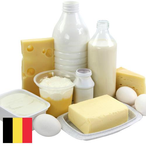 Молочная продукция из Бельгии