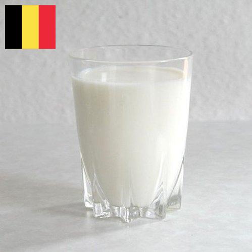 молоко обезжиренное из Бельгии