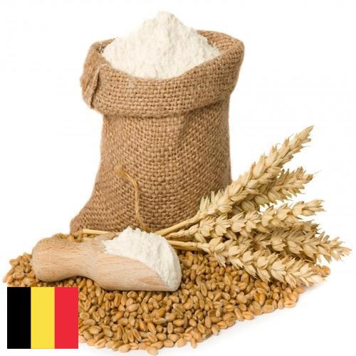 мука пшеничная высший из Бельгии