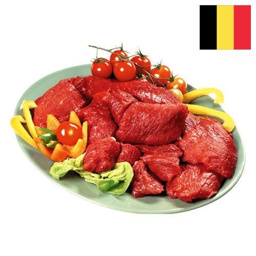 мясная продукция из Бельгии