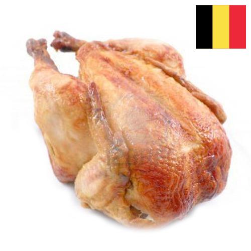 мясо куриное из Бельгии