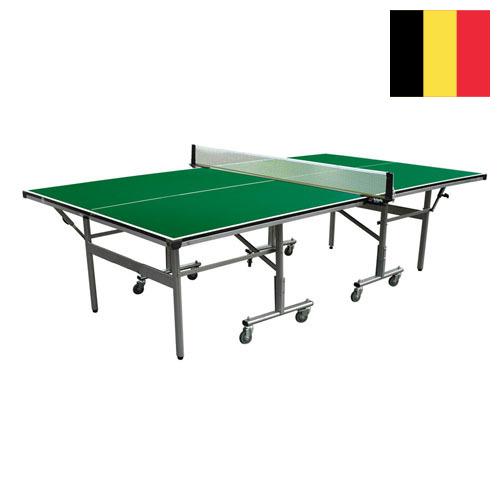 Настольный теннис из Бельгии