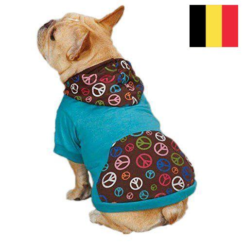 Одежда для животных из Бельгии